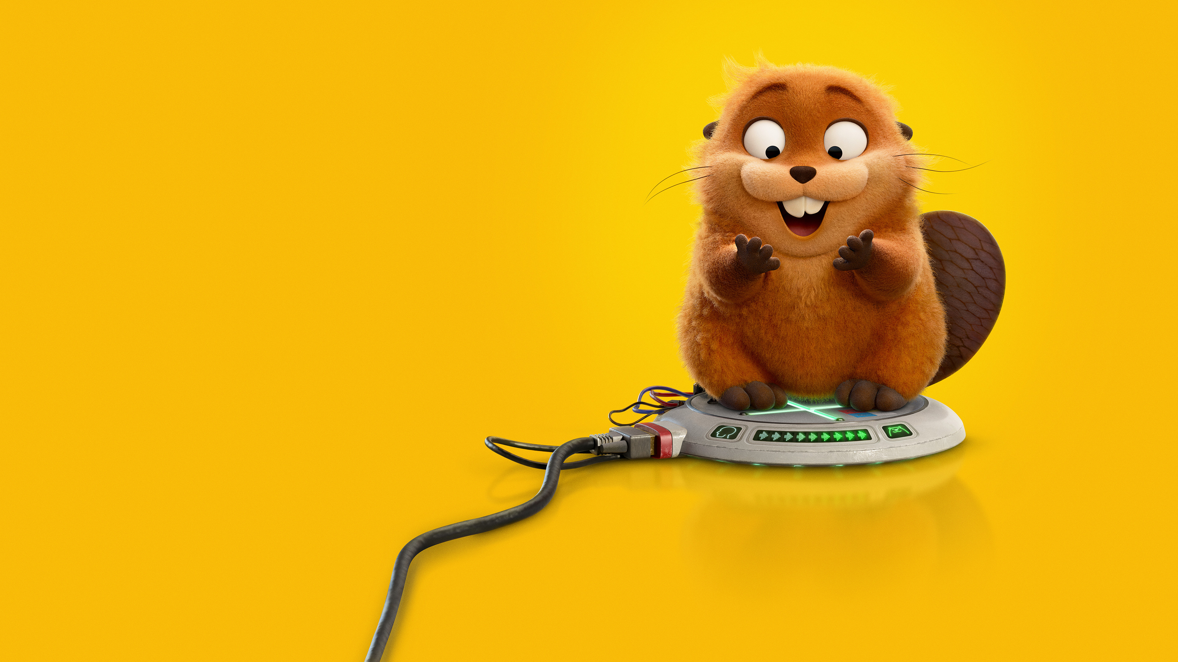 Cara de Um, Focinho de Outro